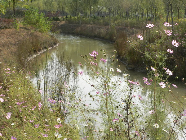 小河